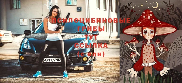 соль курить ск Алзамай
