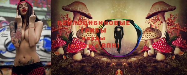 соль курить ск Алзамай