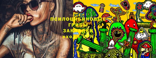PSILOCYBIN Алексеевка